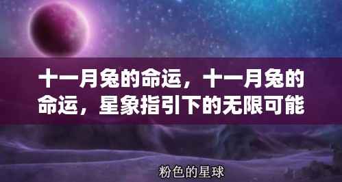 十一月兔星象指引，命运无限可能