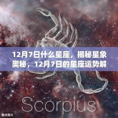 揭秘星象奥秘，12月7日星座运势解析及运势特点
