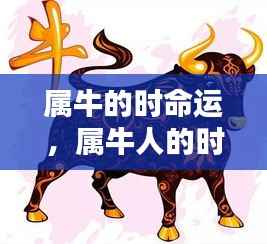 属牛人的坚韧与机遇，时空命运解析