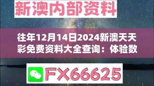 往年12月14日2024新澳天天彩免费资料大全查询：体验数字选择的艺术