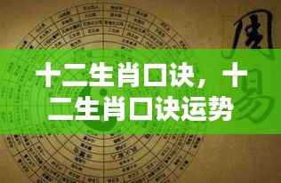 十二生肖口诀运势解析，洞悉未来走向