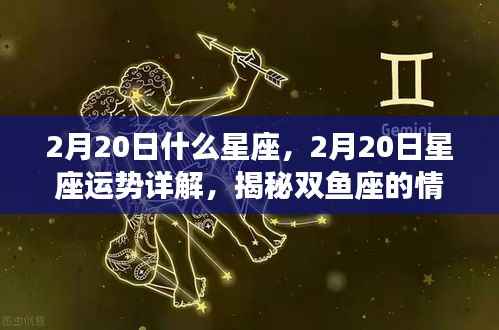 揭秘双鱼座，情感与事业走向的星座运势详解（2月20日）