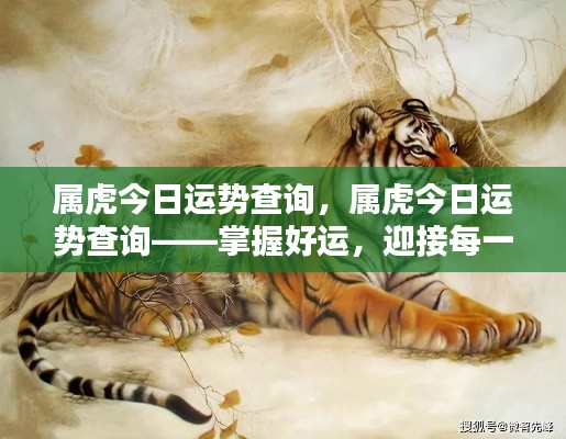 属虎今日运势查询，把握好运势，迎接挑战！