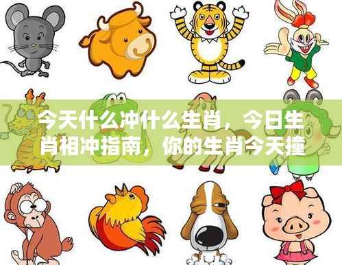 今日生肖相冲指南，你的生肖与哪些相冲突？