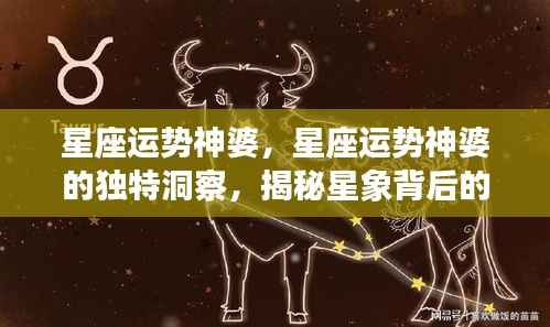 高不成低不就 第4页