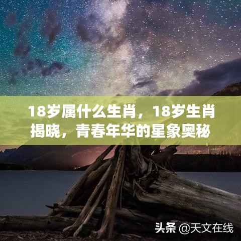 青春年华的生肖奥秘，揭秘18岁属相与星象之谜