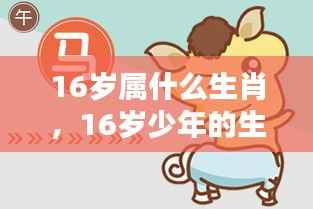 青春年华的生肖运势解析，16岁的生肖与未来展望
