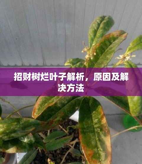 慌慌张张 第6页