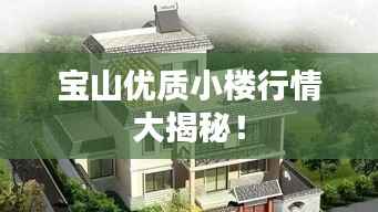 宝山优质小楼行情大揭秘！