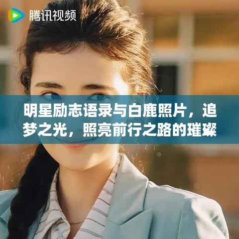 明星励志语录与白鹿照片，追梦之光，照亮前行之路的璀璨星辰