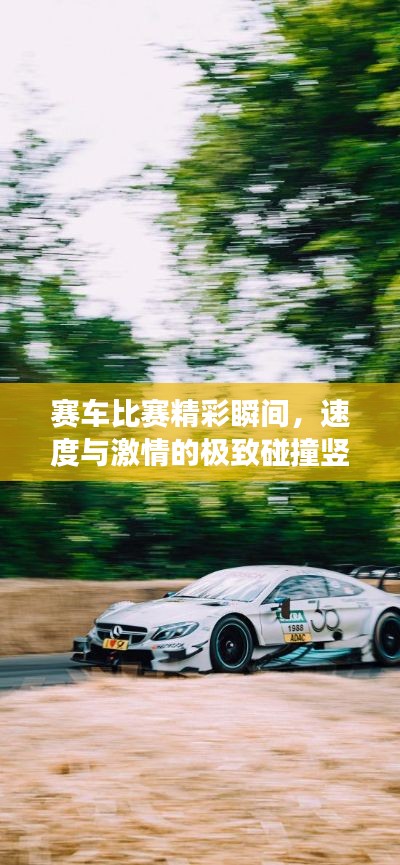 走马观花 第5页