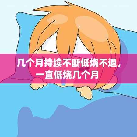 几个月持续不断低烧不退，一直低烧几个月 