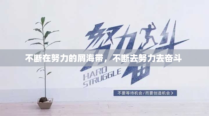 不断在努力的屑海带，不断去努力去奋斗 